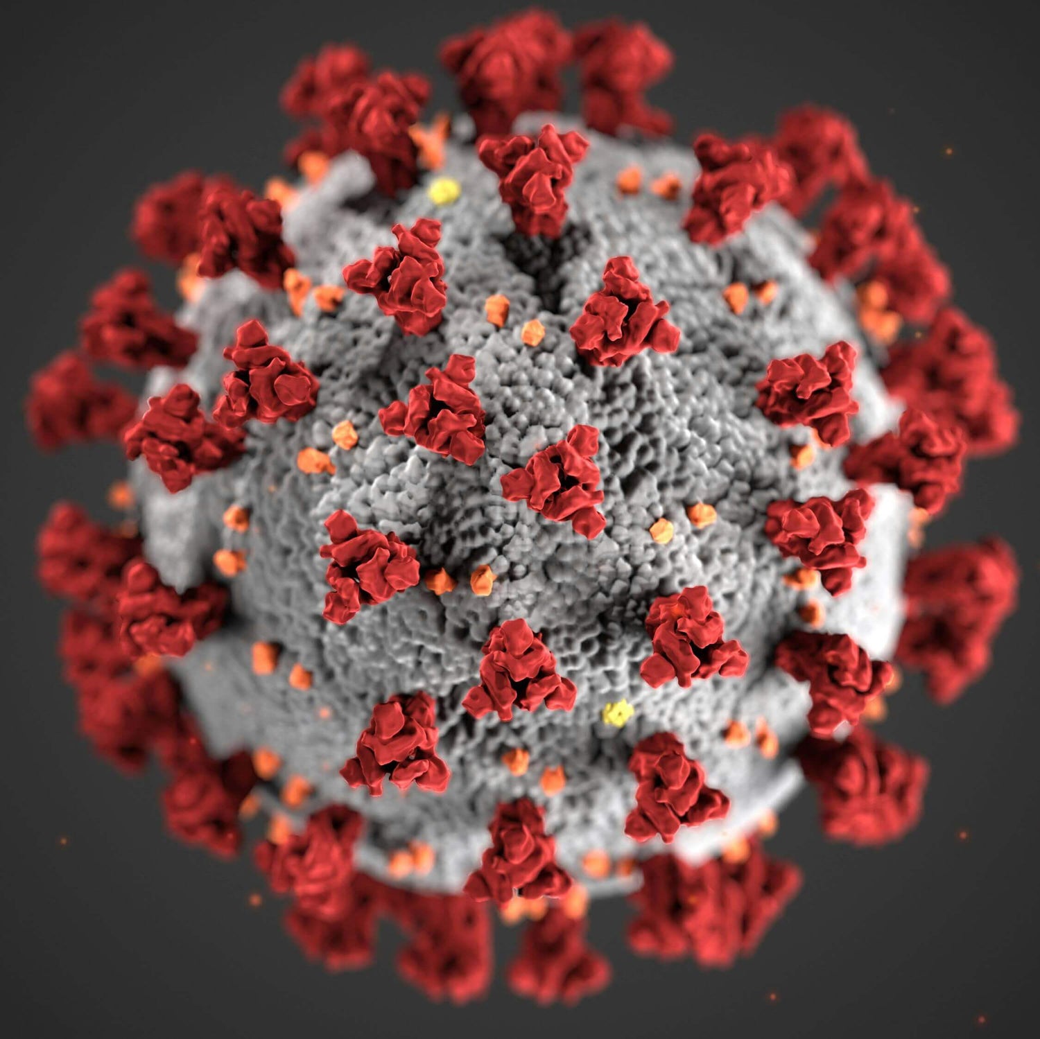 Global Influenza Cases Are Rising: What You Need to Know About Symptoms, Transmission, and Prevention